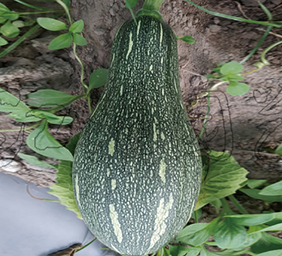 �ɹ�103-�ϹϷN��-�����@ˇ