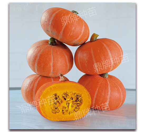 �t��1̖-�ϹϷN��-���ƷN��