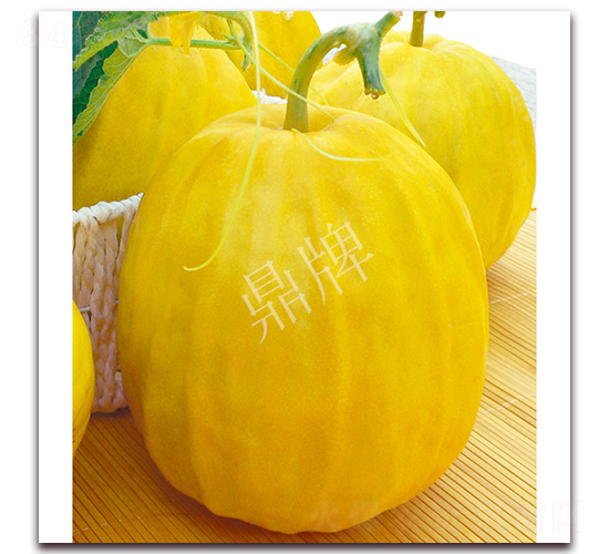 金美2號(hào)-甜瓜種子-鼎牌種苗