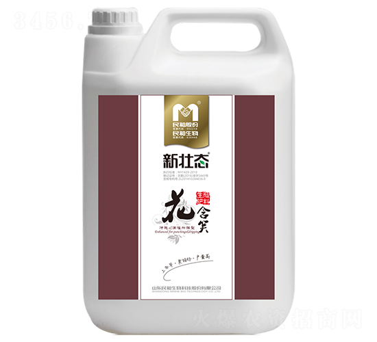 �_ʩ��-����Ц-�������