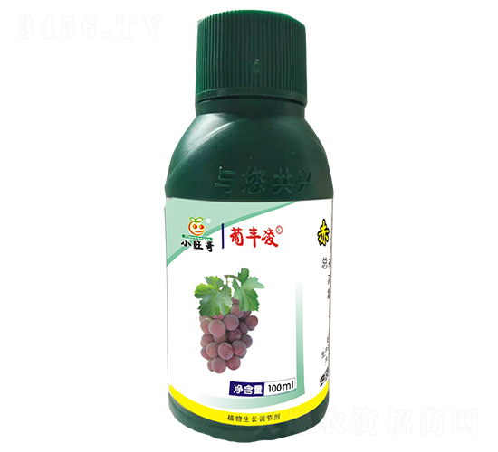 ���S���{��(ji��)��-�������