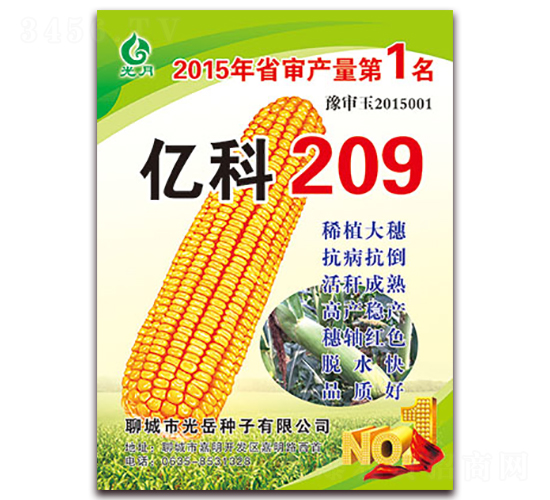 億科209-玉米種子-光岳種子