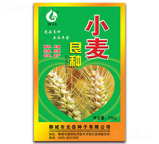 小麥良種-光岳種子