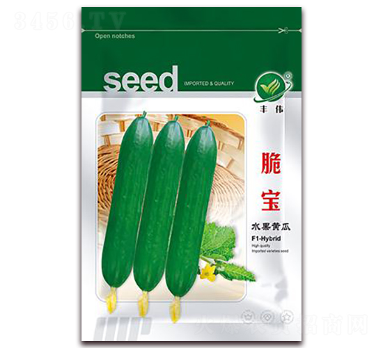 脆寶-水果黃瓜種子-金鵬種業(yè)