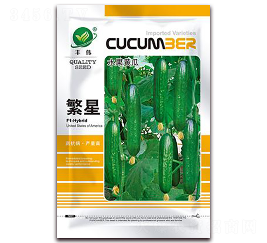 繁星-水果黃瓜種子-金鵬種業(yè)