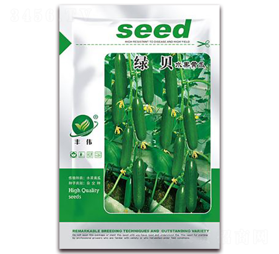 綠貝水果黃瓜-水果黃瓜種子-金鵬種業(yè)