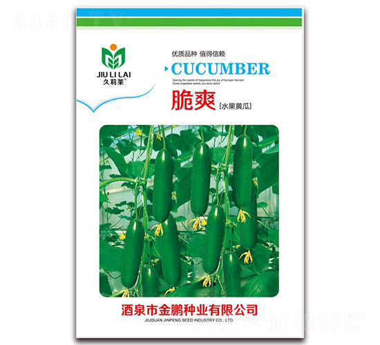 脆爽-水果黃瓜種子-金鵬種業(yè)