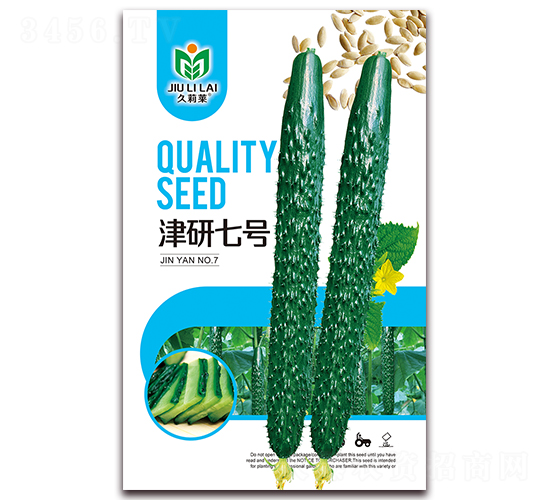 津研七號-水果黃瓜種子-金鵬種業(yè)