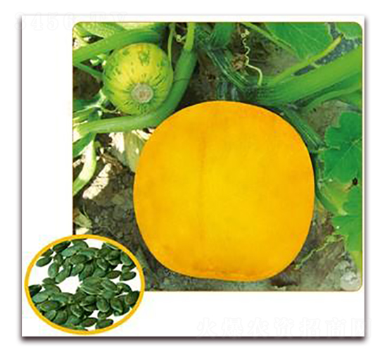 �����-�o���ϹϷN��-���i�N�I(y��)