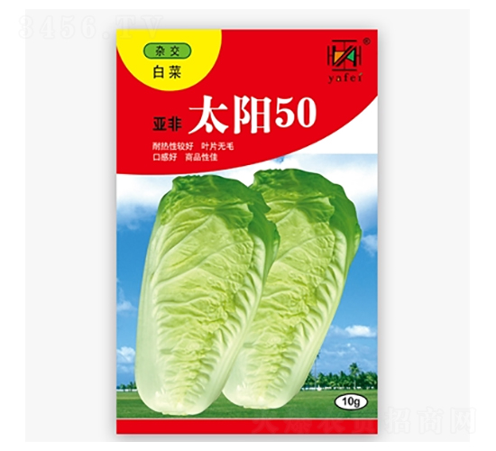 ̫�50-�ײ˷N��-����