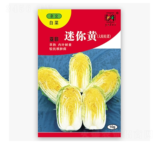 迷你黃-白菜種子-亞非