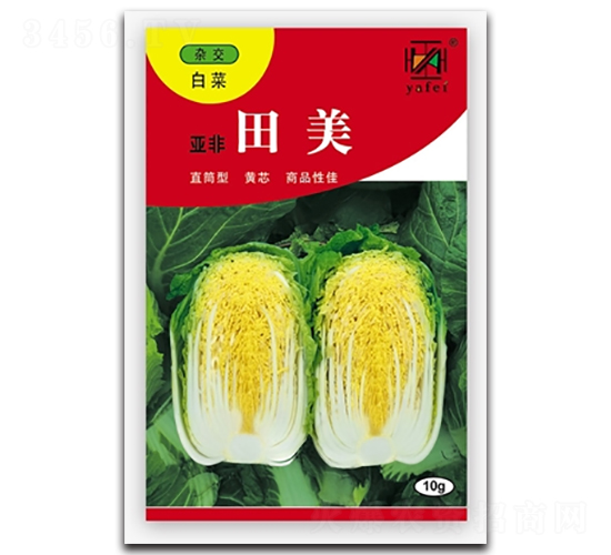 ����-�ײ˷N��-����