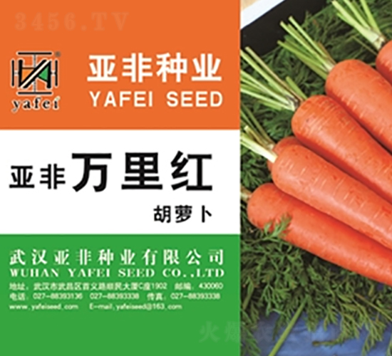亞非萬里紅-胡蘿卜種子-亞非