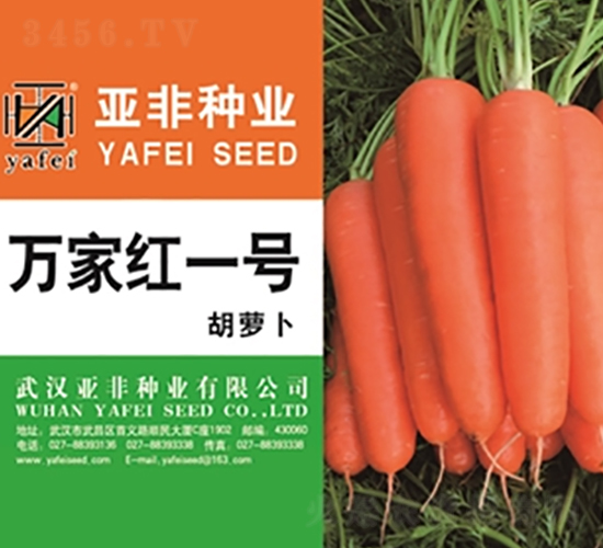 萬家紅一號-胡蘿卜種子-亞非