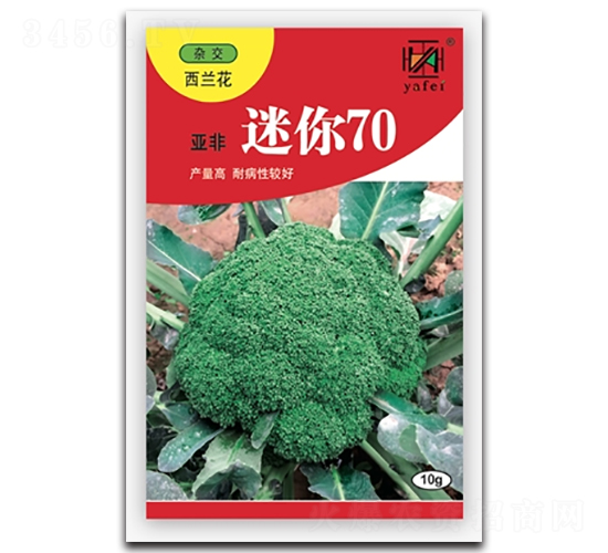 迷你70-西蘭花種子-亞非