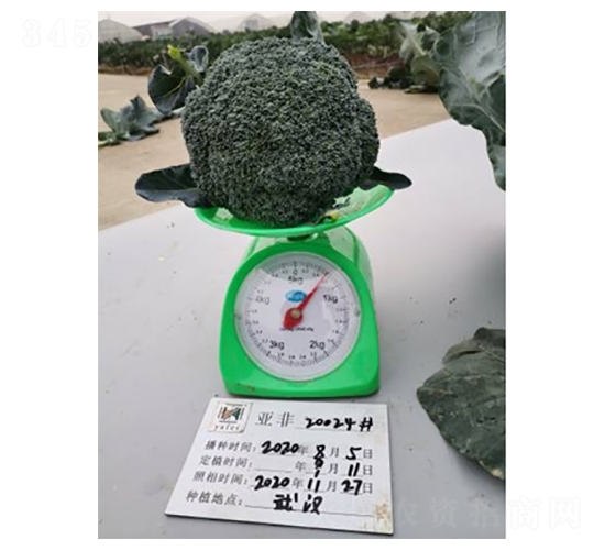 ���m��20024-���m���N��-����