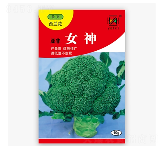 亞非女神-西蘭花種子-亞非