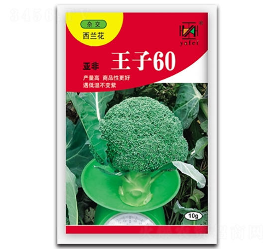 亞非王子60-西蘭花種子-亞非