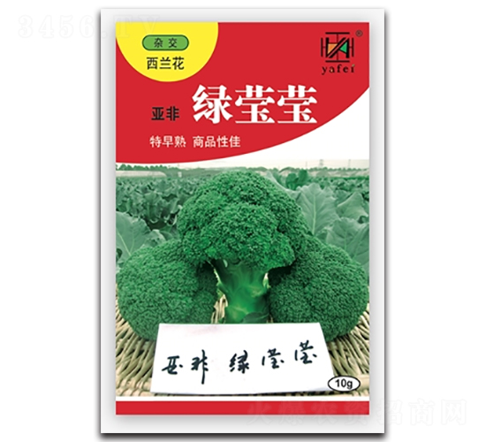 綠瑩瑩-西蘭花種子-亞非