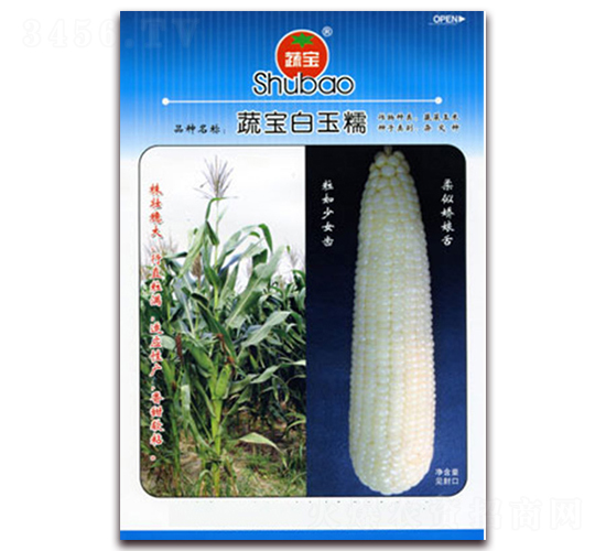 蔬寶白玉糯-糯玉米種子-蔬寶種業(yè)