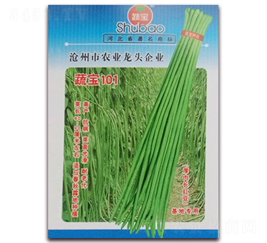 �ߌ�101-�����N��-�ߌ��N�I(y��)