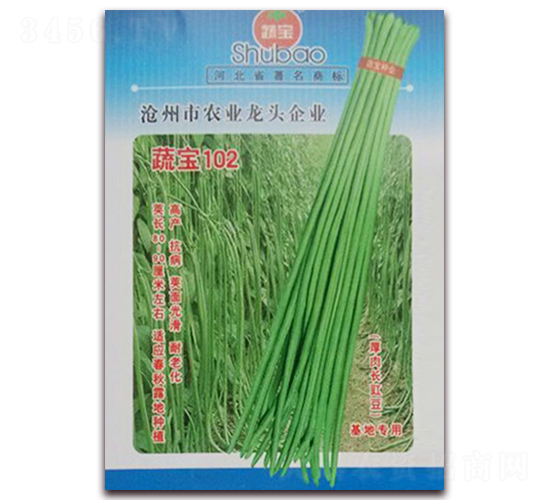 �ߌ�102-�����N��-�ߌ��N�I(y��)