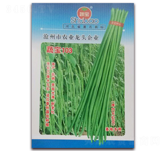 蔬寶103-豇豆種子-蔬寶種業(yè)