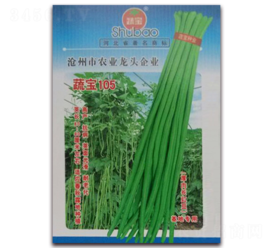 �ߌ�105-�����N��-�ߌ��N�I(y��)