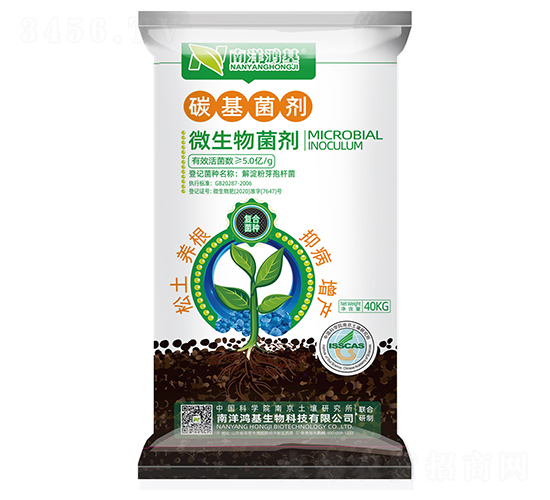 ̼������-��������