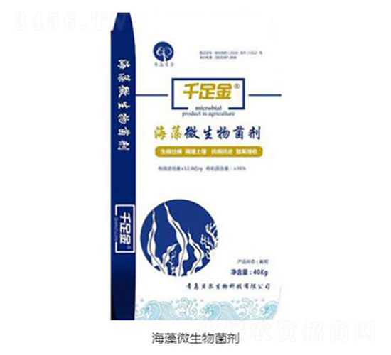 12�|����΢�������-ǧ���