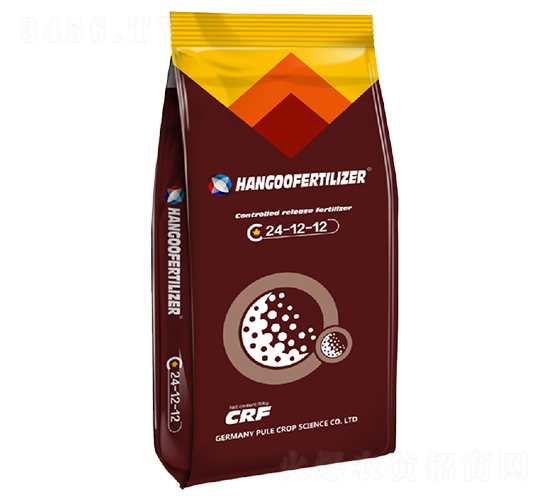 ��ጷ�24-12-12-�h��-�՘�����