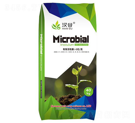 2�|΢�������-�h��-�՘�����