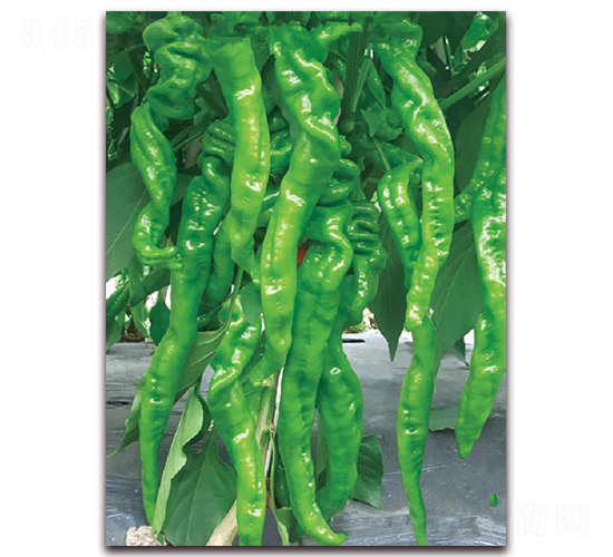 ����106-�����N��-�|������