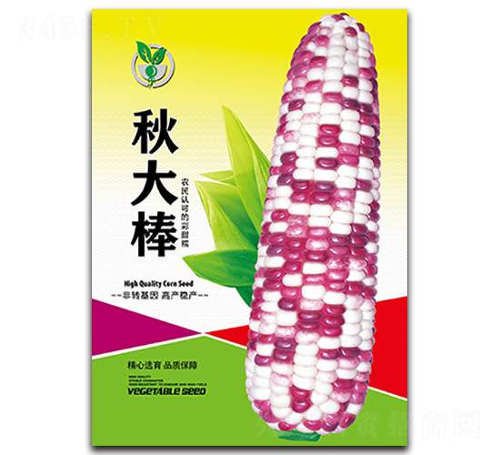 秋大棒-玉米種子-金翊雪龍