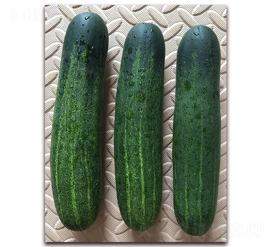 雅美綠-黃瓜種子-正大種子