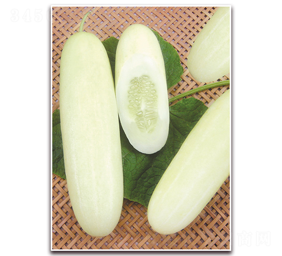 雅美一號(hào)-黃瓜種子-正大種子