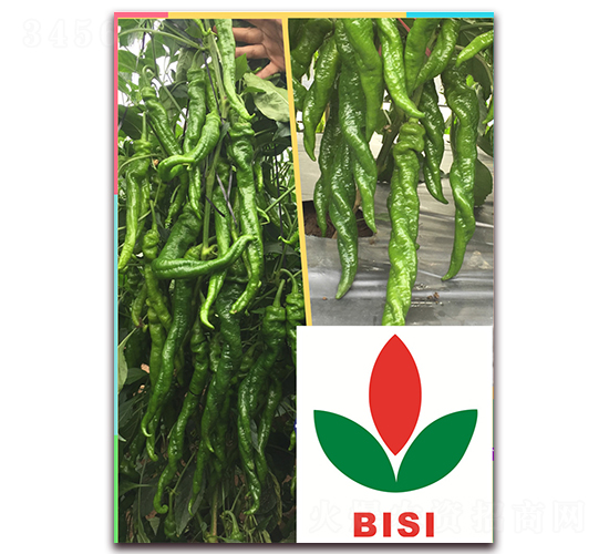 ̩��76-�����N��-����N��