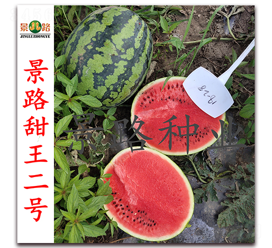 ��·������̖(h��o)-�����ϷN��-��·�N�I(y��)