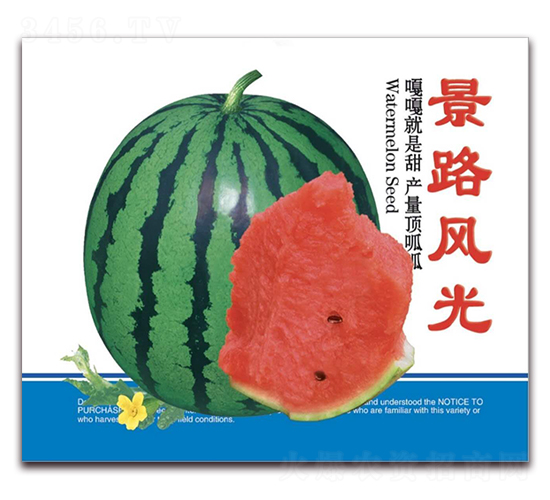 ��·�L(f��ng)��-�����ϷN��-��·�N�I(y��)