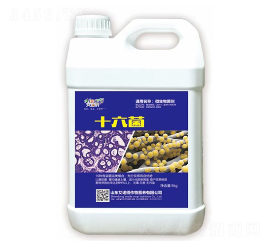 ʮ����-���Z��