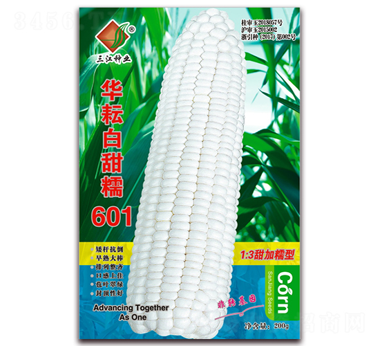 �A�Ű���Ŵ601-Ŵ���׷N��-�����N�I(y��)