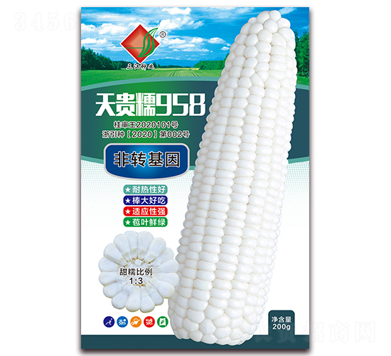 天貴糯958-糯玉米種子-三江種業(yè)
