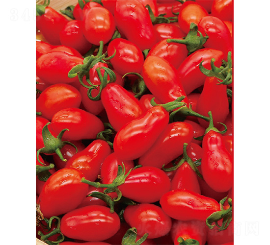 ����������-���ѷN��-����