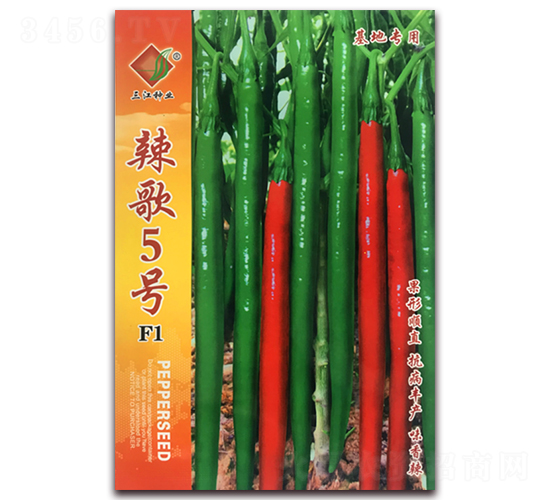 辣歌5號F1-辣椒種子-三江種業(yè)