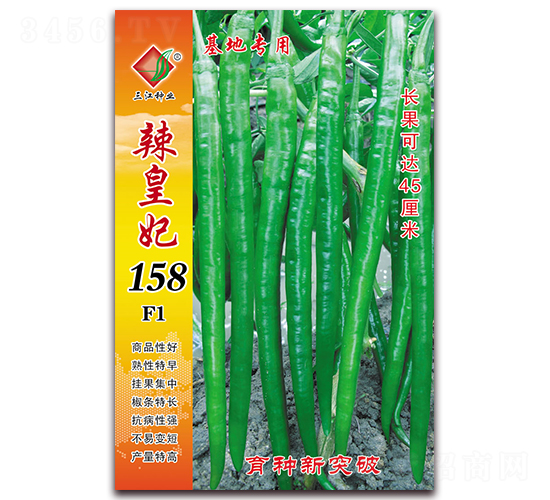 ������158F1-�����N��-�����N�I(y��)