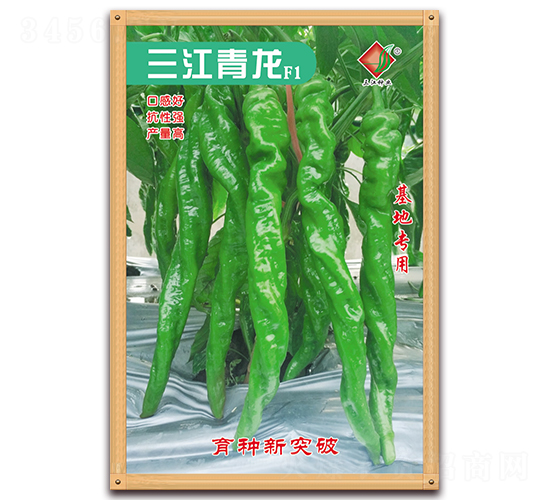 ��������F(tu��n)1-�����N��-�����N�I(y��)