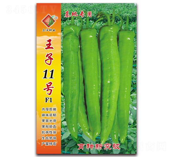 王子11號F1-辣椒種子-三江種業(yè)