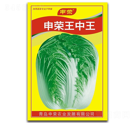 申榮王中王-大白菜種子-申榮農(nóng)業(yè)