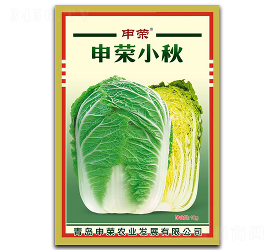 申榮小秋-大白菜種子-申榮農(nóng)業(yè)