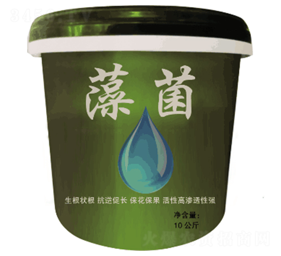 ���-�Sʢ-���ő�